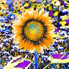 Expressionist Flowers  Sun Flower #5976